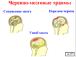 Основы медицинских знаний - Мобильный комплекс для обучения и контроля знаний по ОБЖ - Учебный материал - Учебные фильмы - Кабинеты охраны труда otkabinet.ru